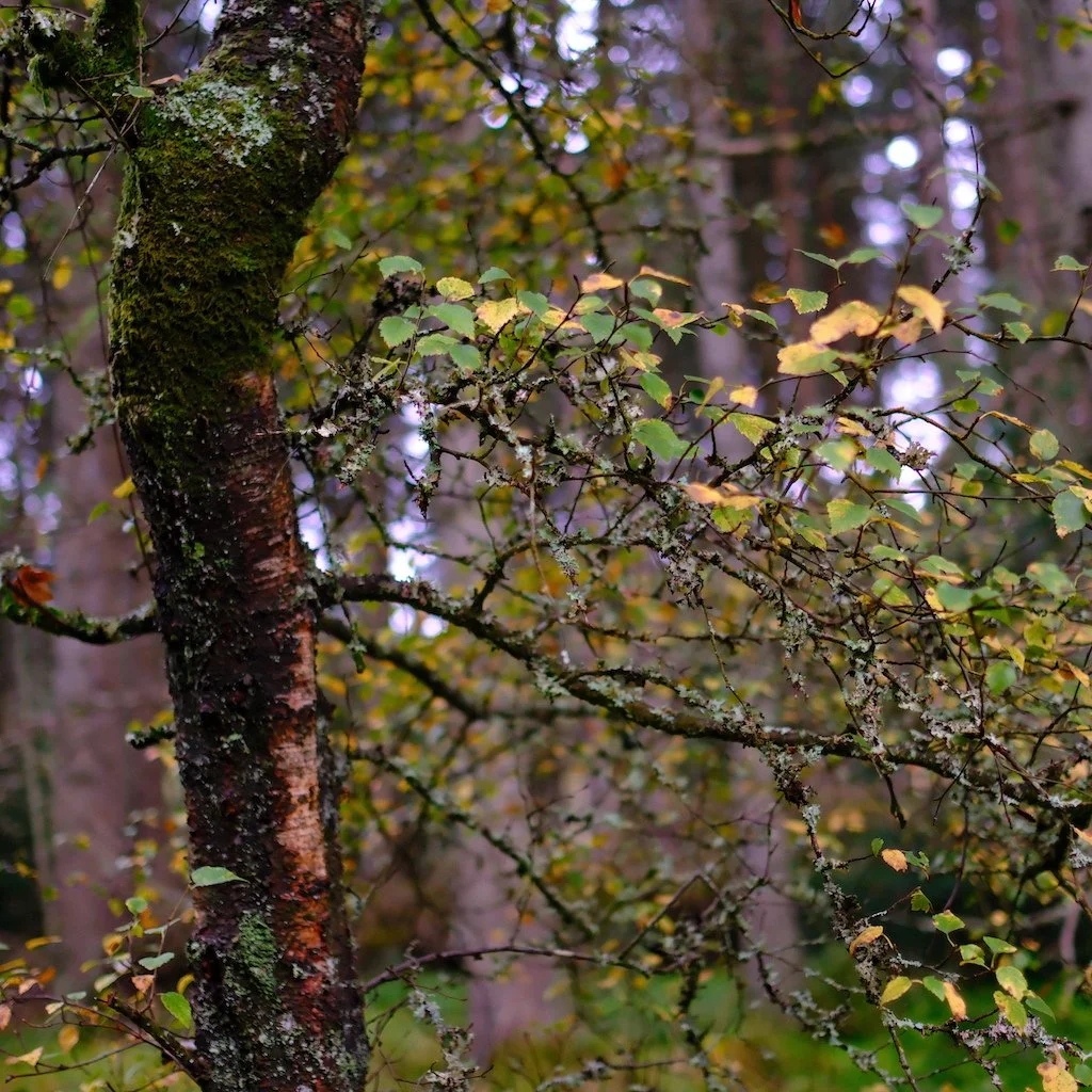DSCF1319.JPG