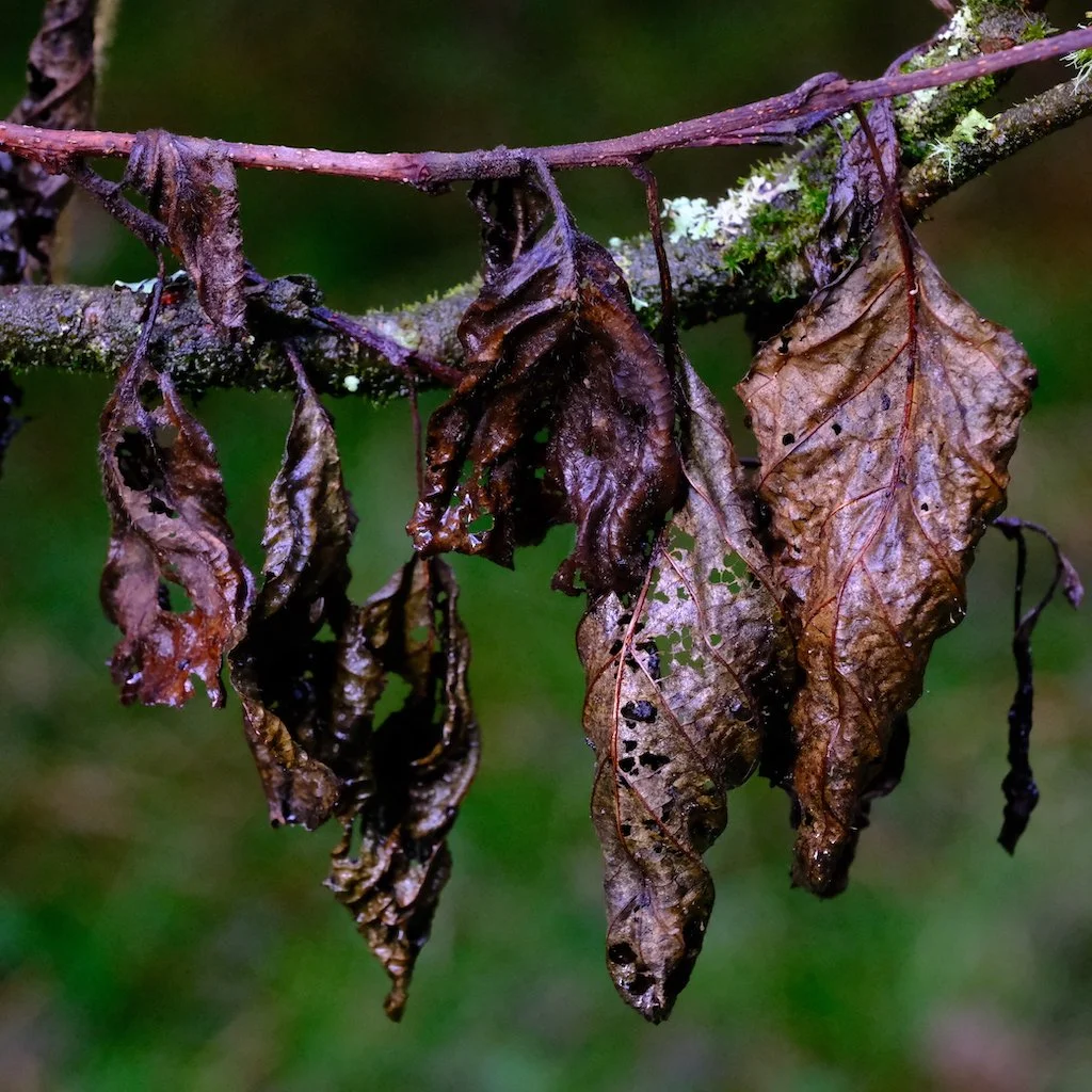 DSCF1169.JPG