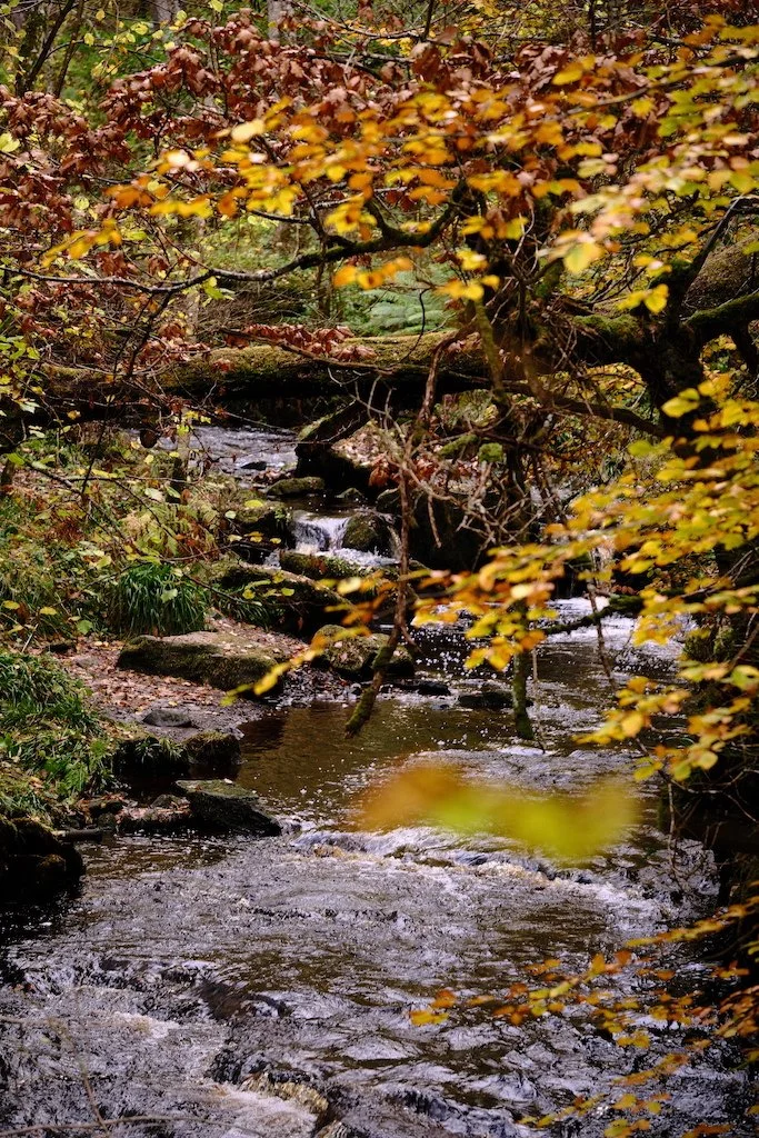 DSCF1584.JPG
