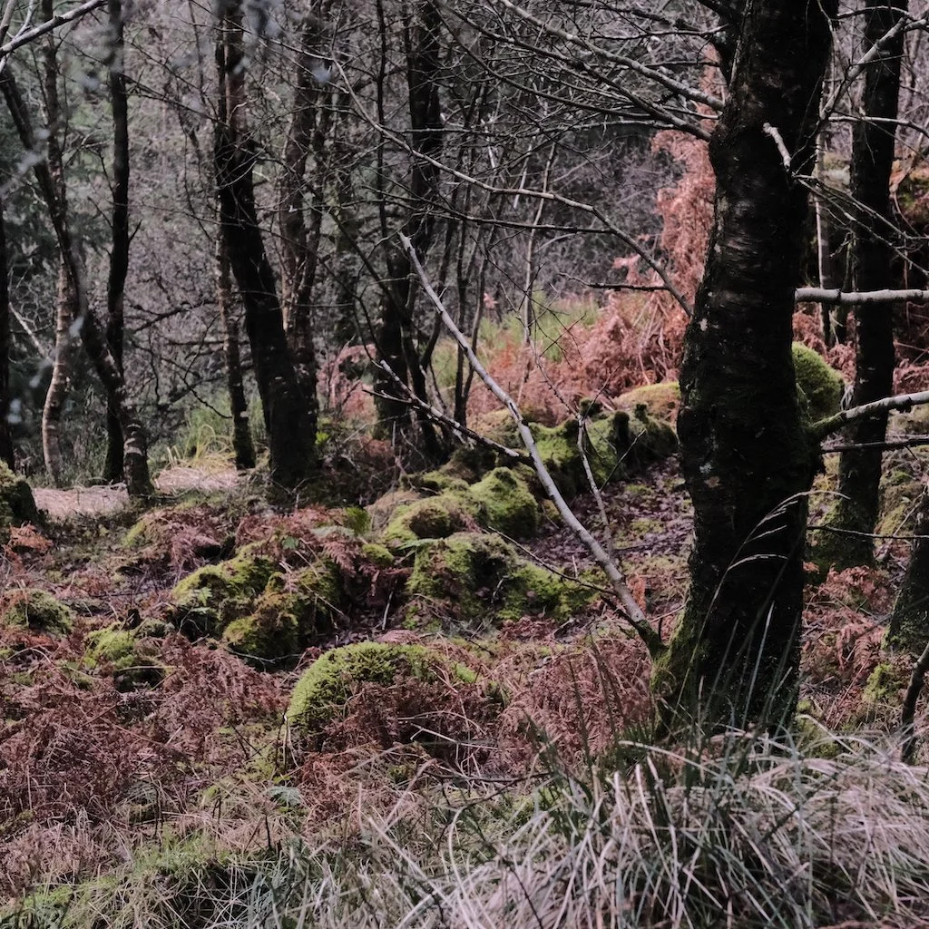 DSCF1585.JPG
