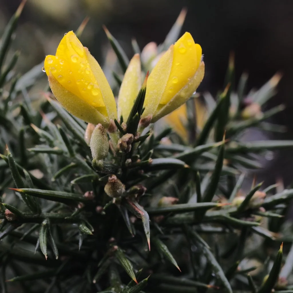 Nature is ready for spring 