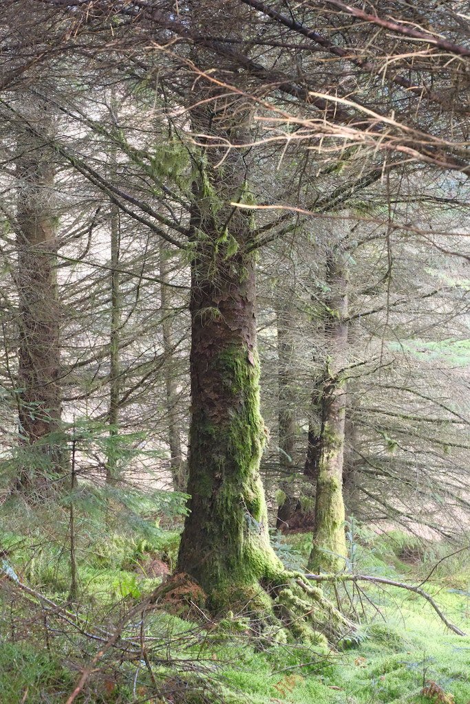 DSCF2812.JPG