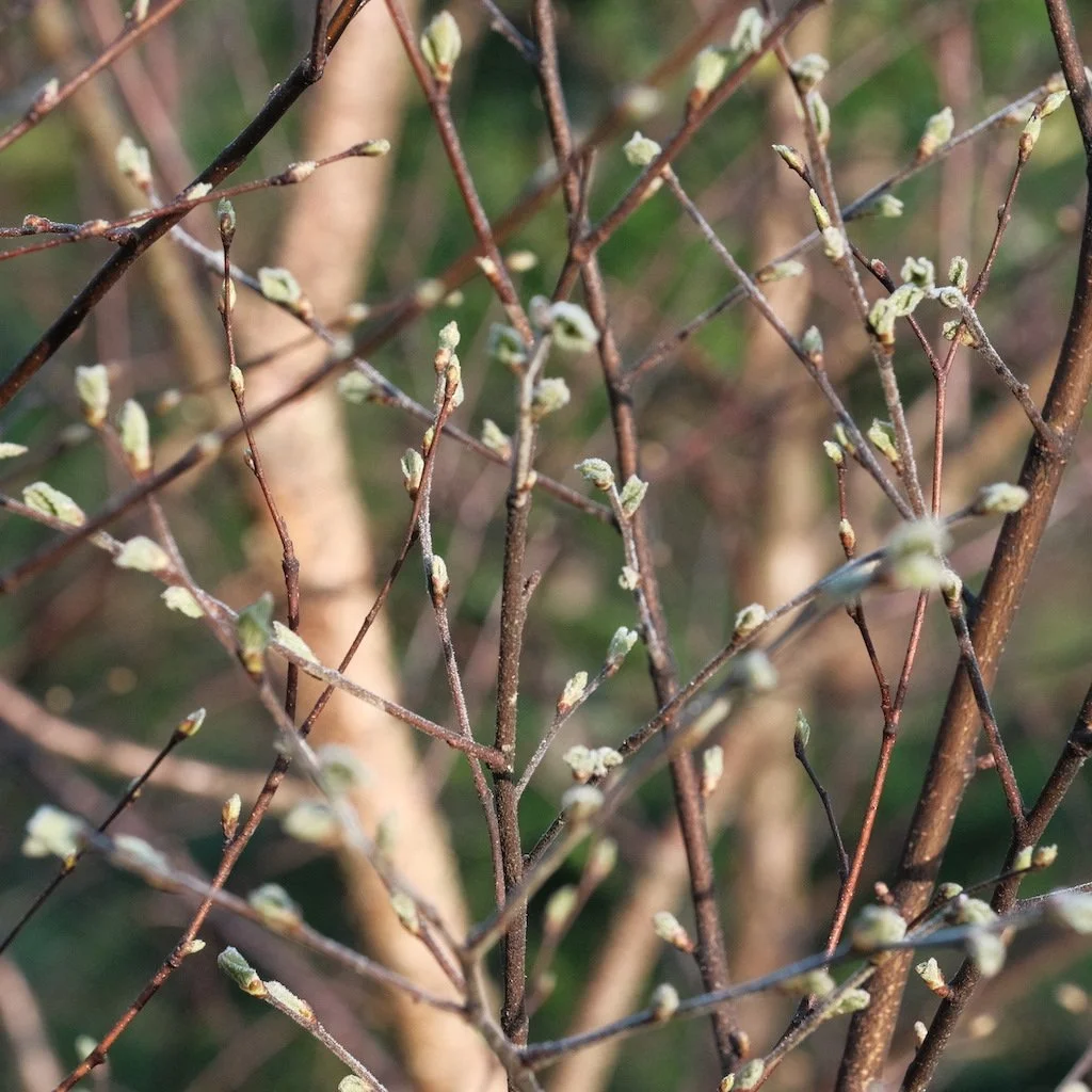 DSCF3003.JPG