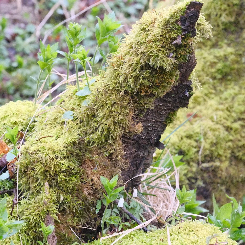 DSCF2870.JPG