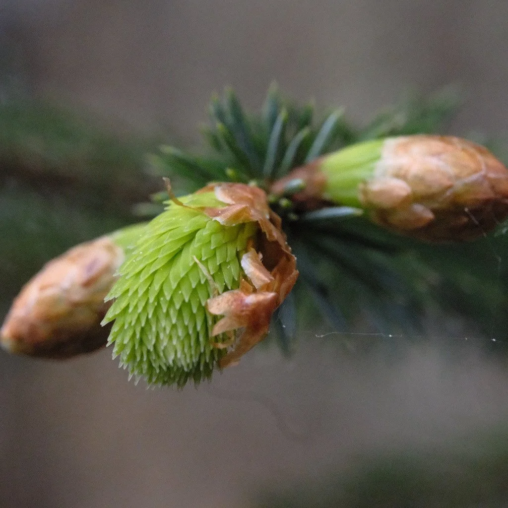 DSCF3222.JPG
