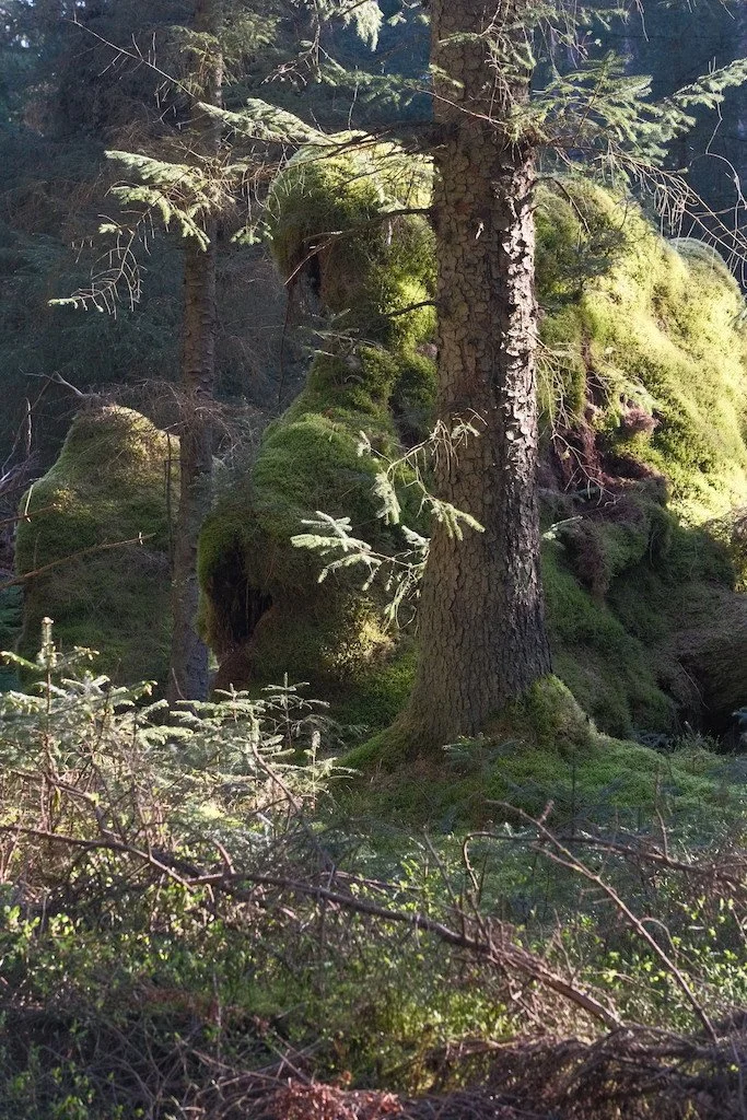 DSCF3153.JPG