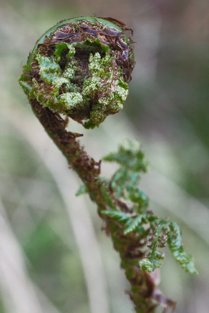 DSCF3142.JPG