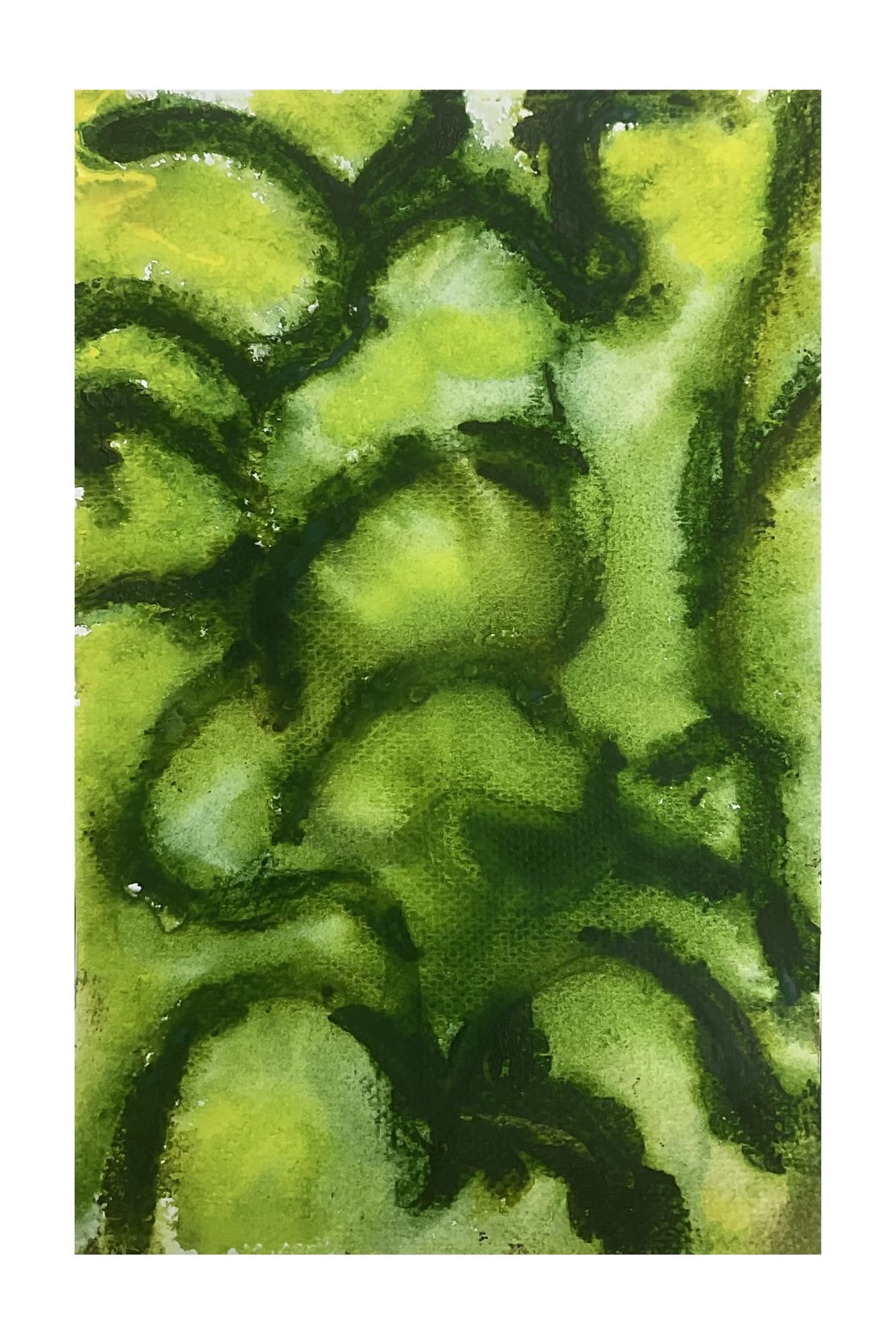 WildPaint11thMay#1.jpg