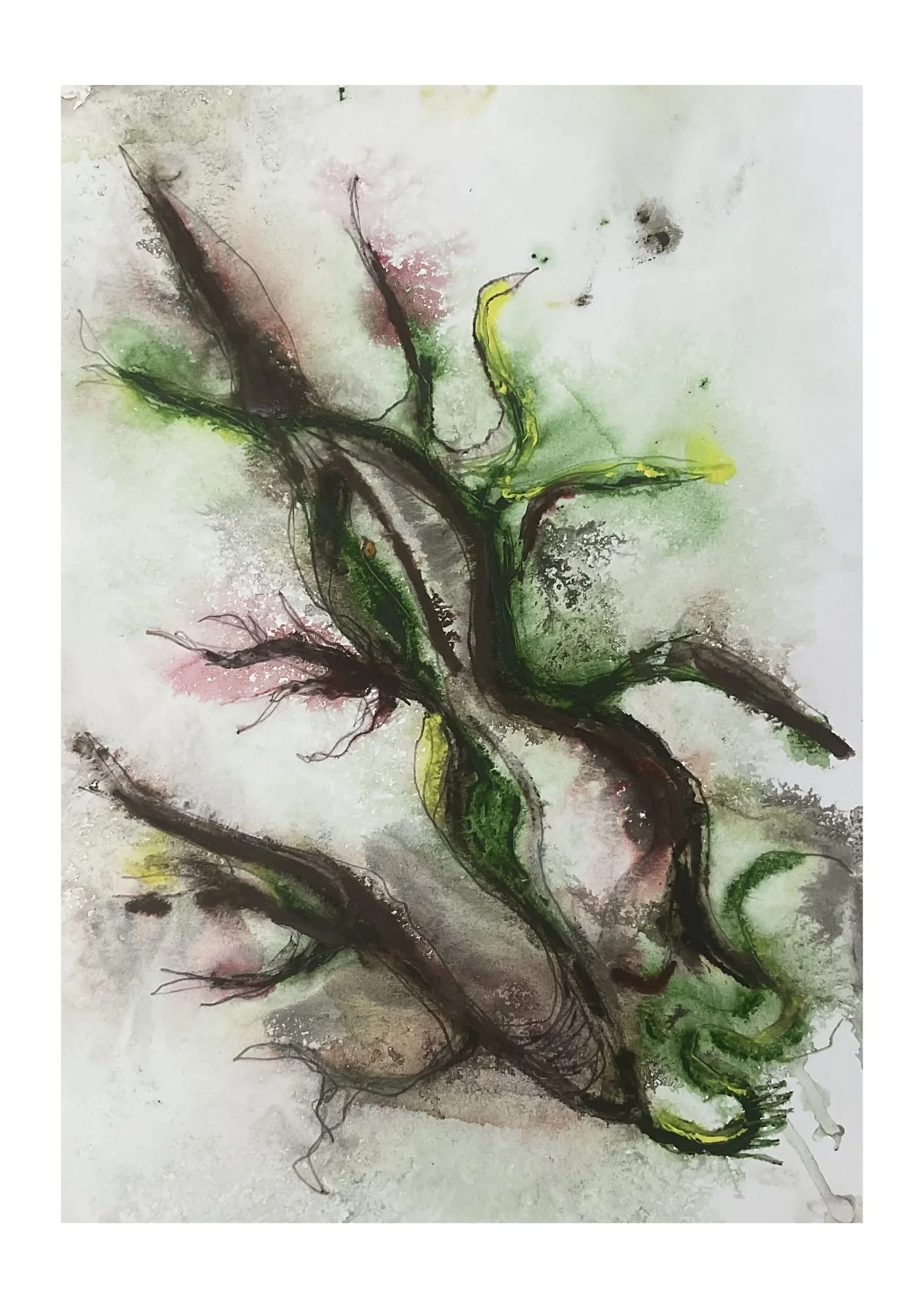 WildPaint11thMay#2.jpg