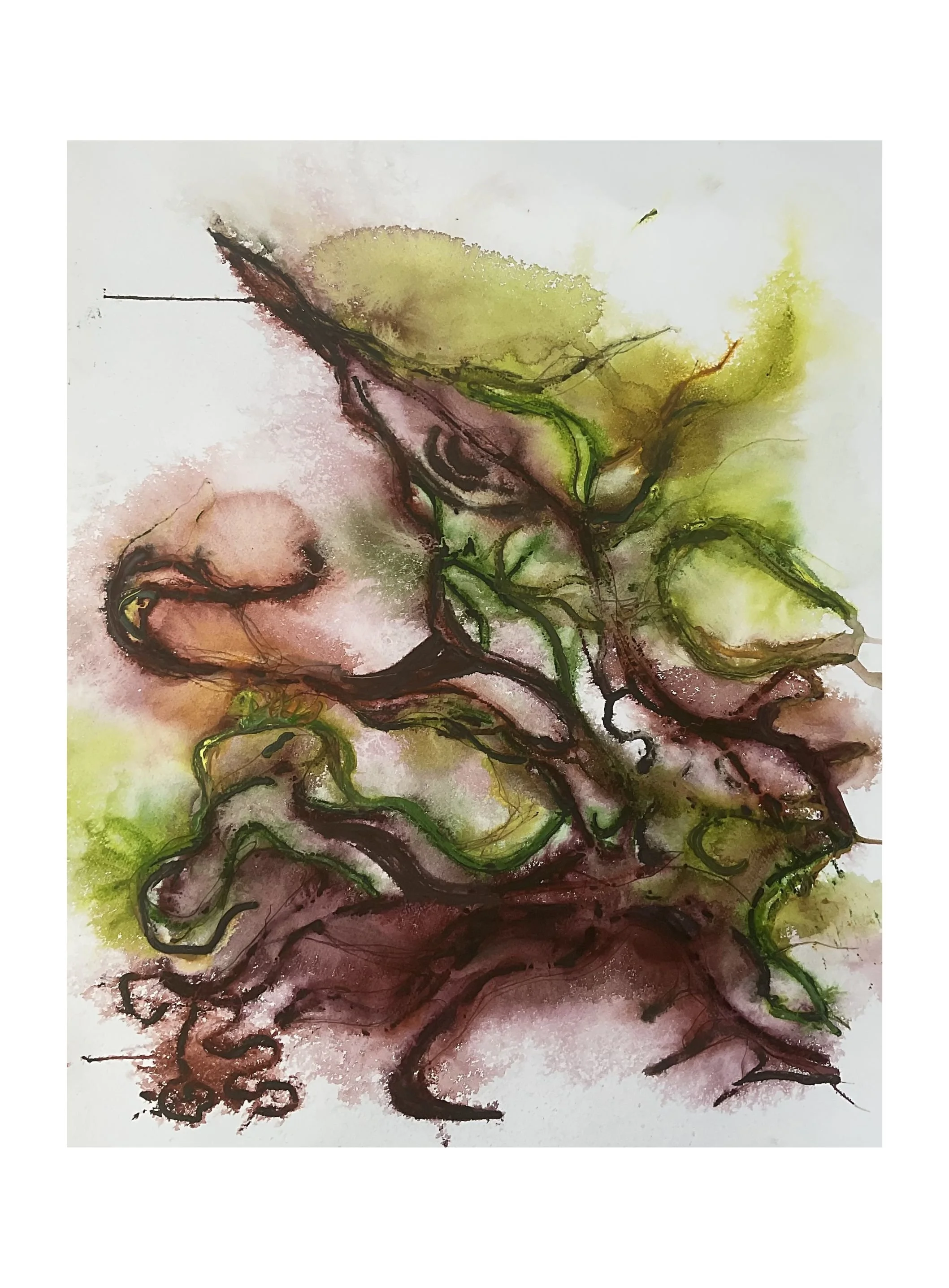 WildPaint11thMay#4.jpg