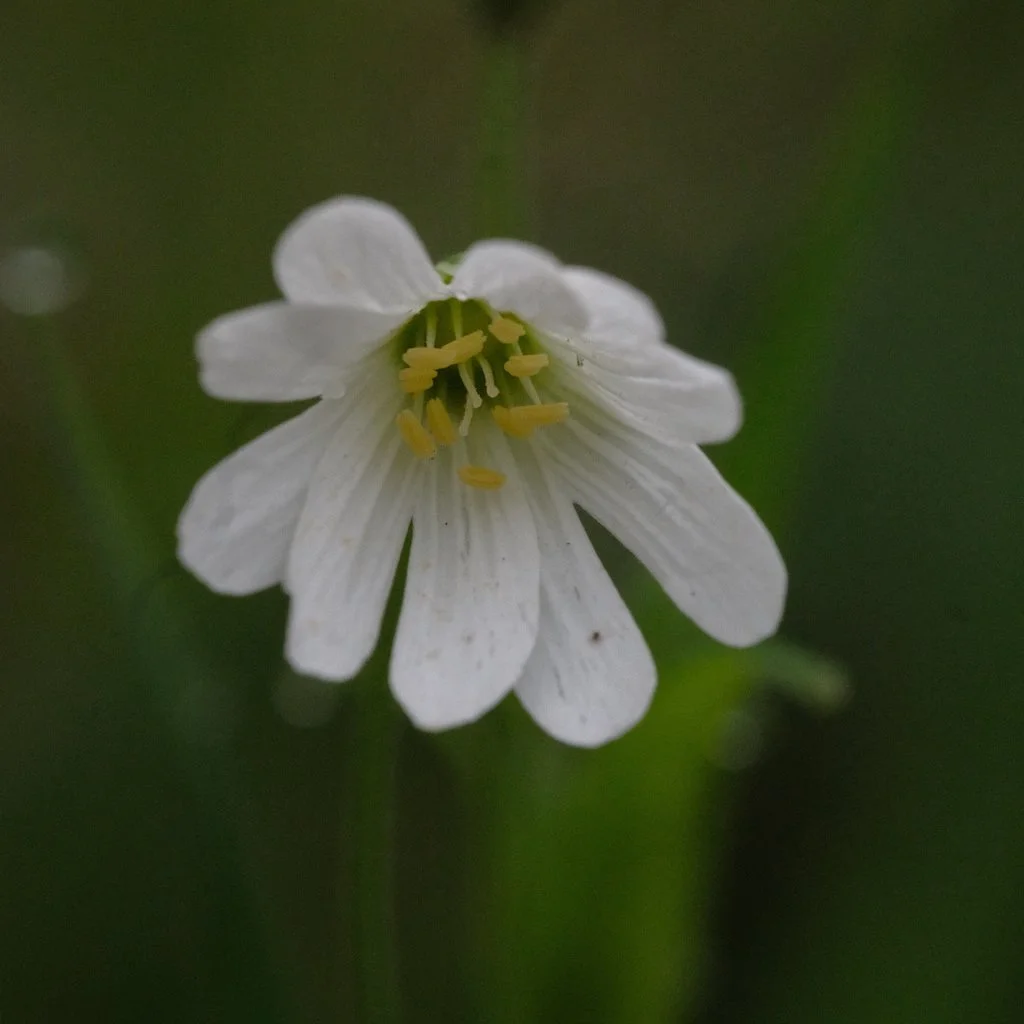 DSCF3284.JPG