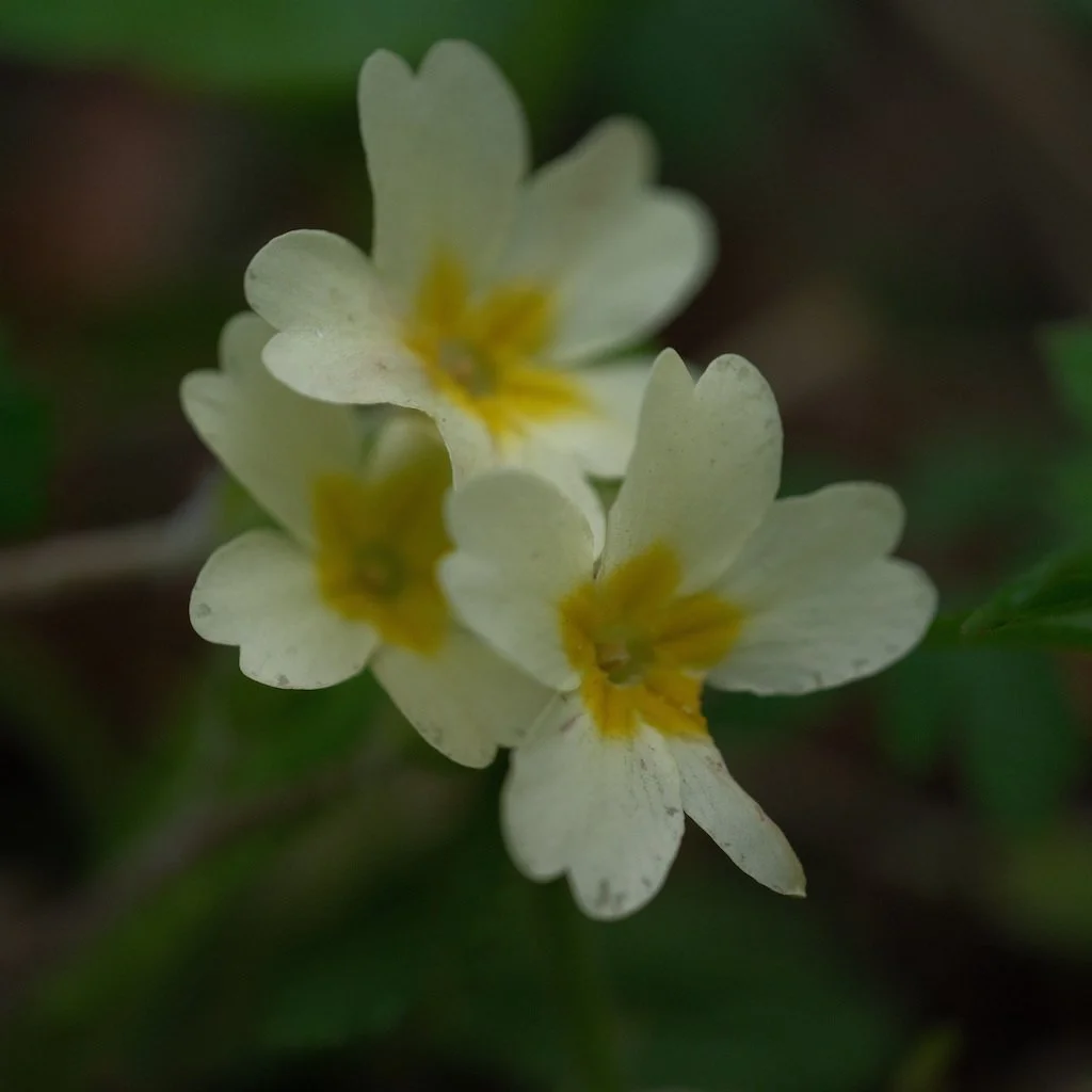 DSCF3303.JPG