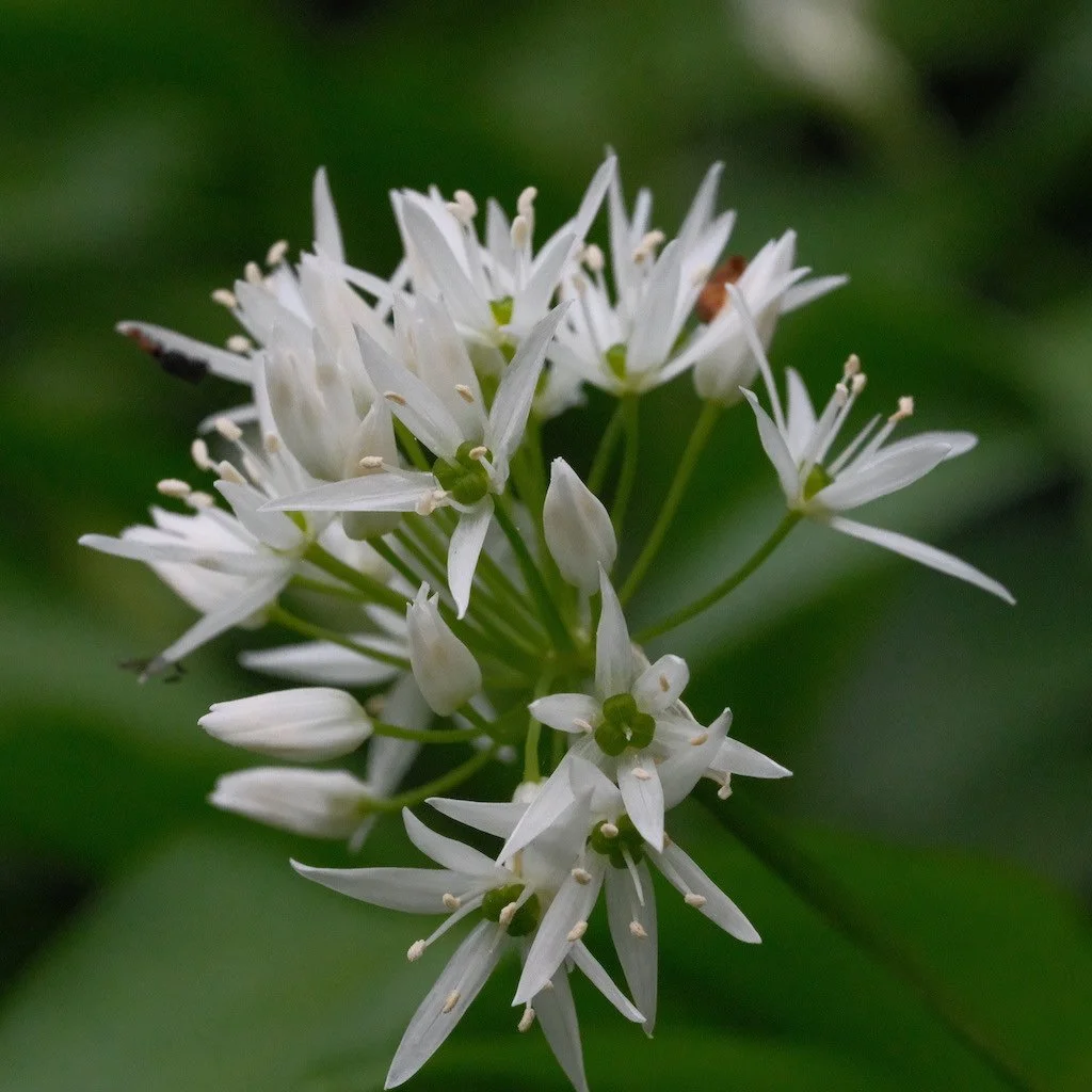 DSCF3307.JPG
