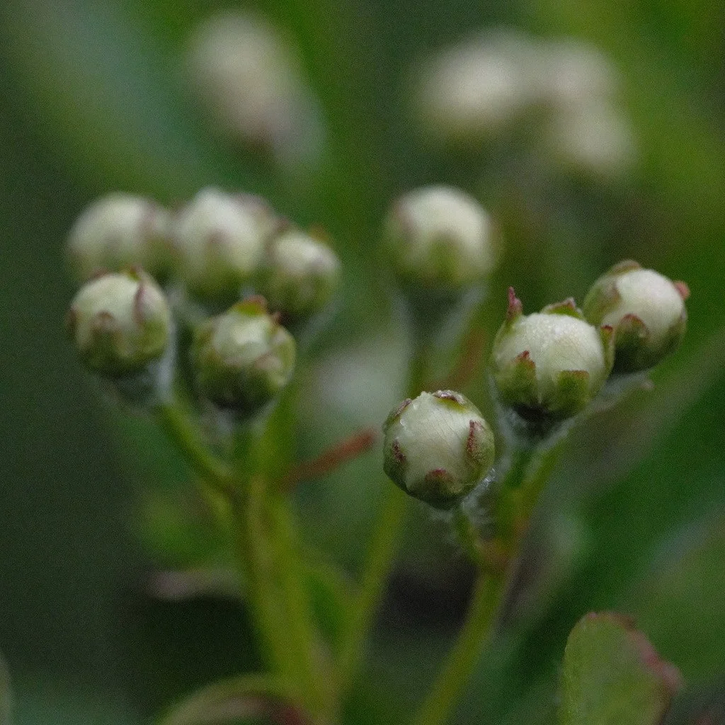 DSCF3253.JPG