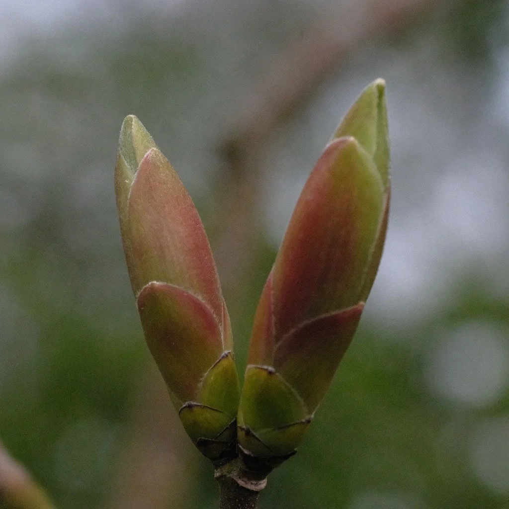 DSCF3255.JPG
