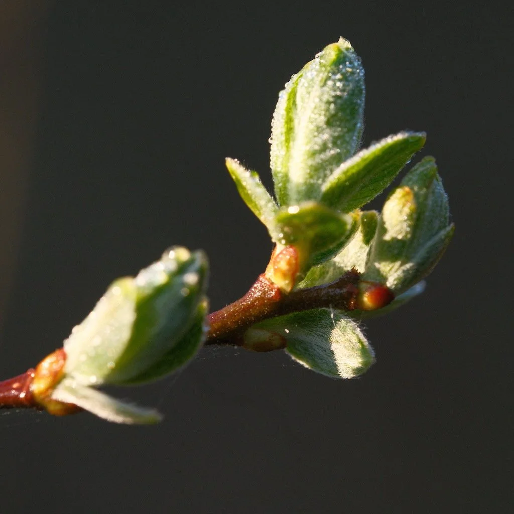 DSCF3116.JPG
