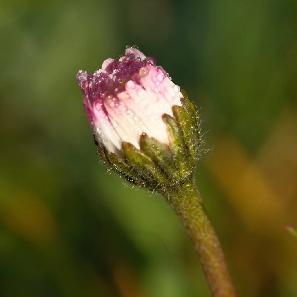 DSCF3135.JPG