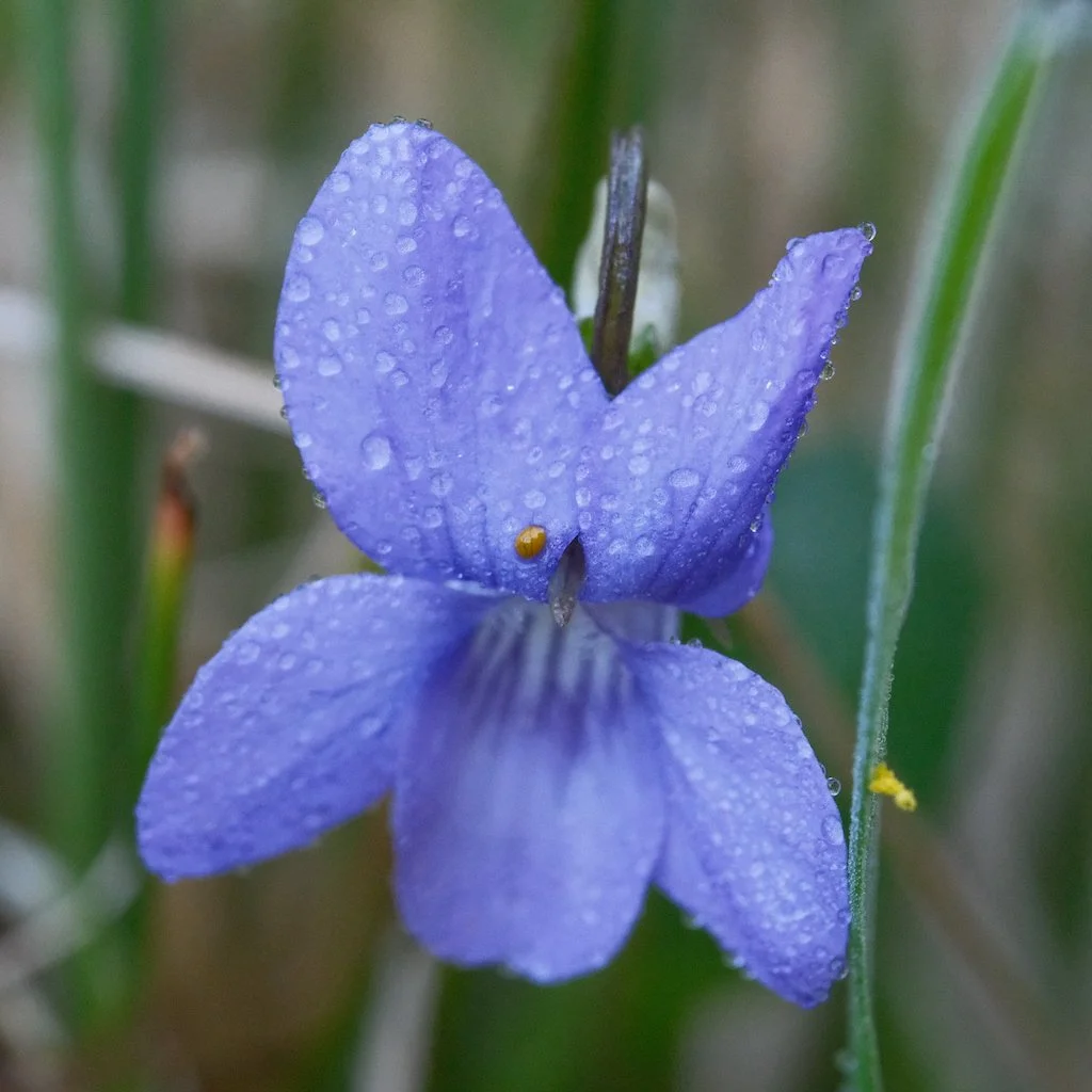 DSCF3159.JPG