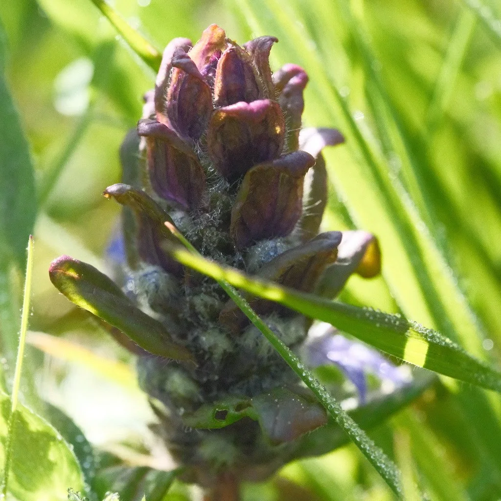 DSCF3183.JPG