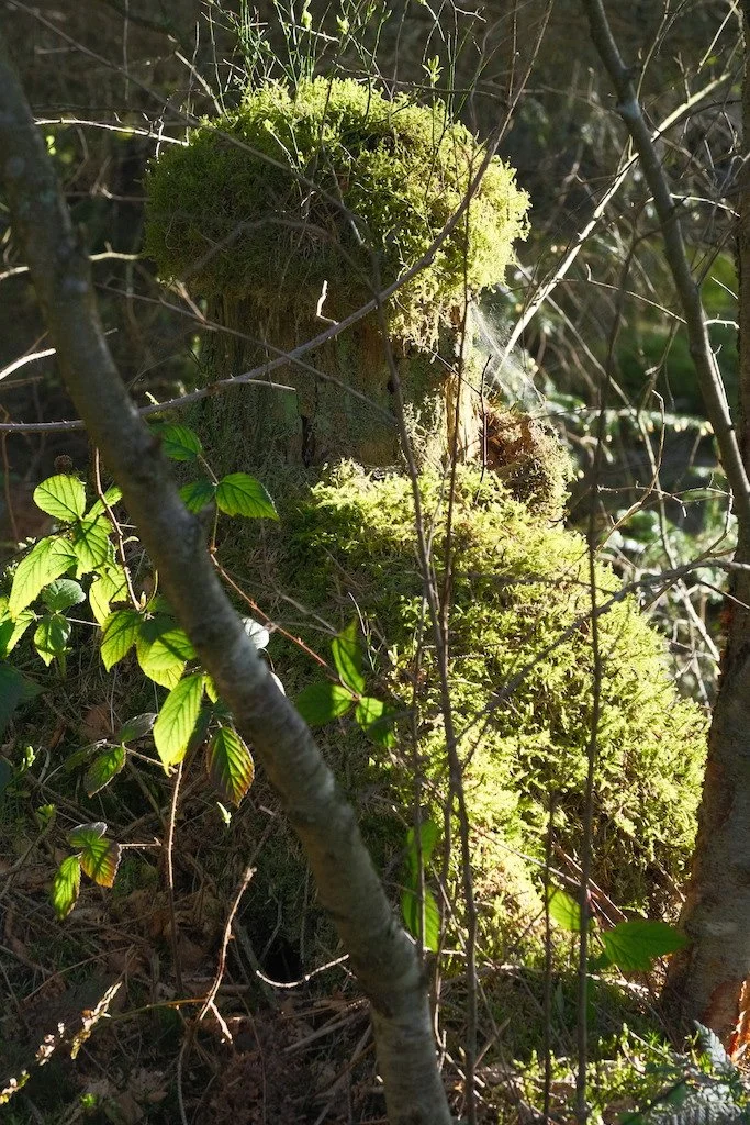DSCF3155.JPG
