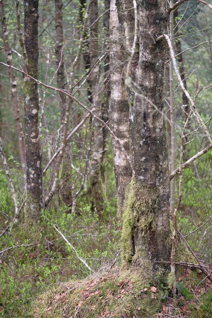 DSCF3234.JPG