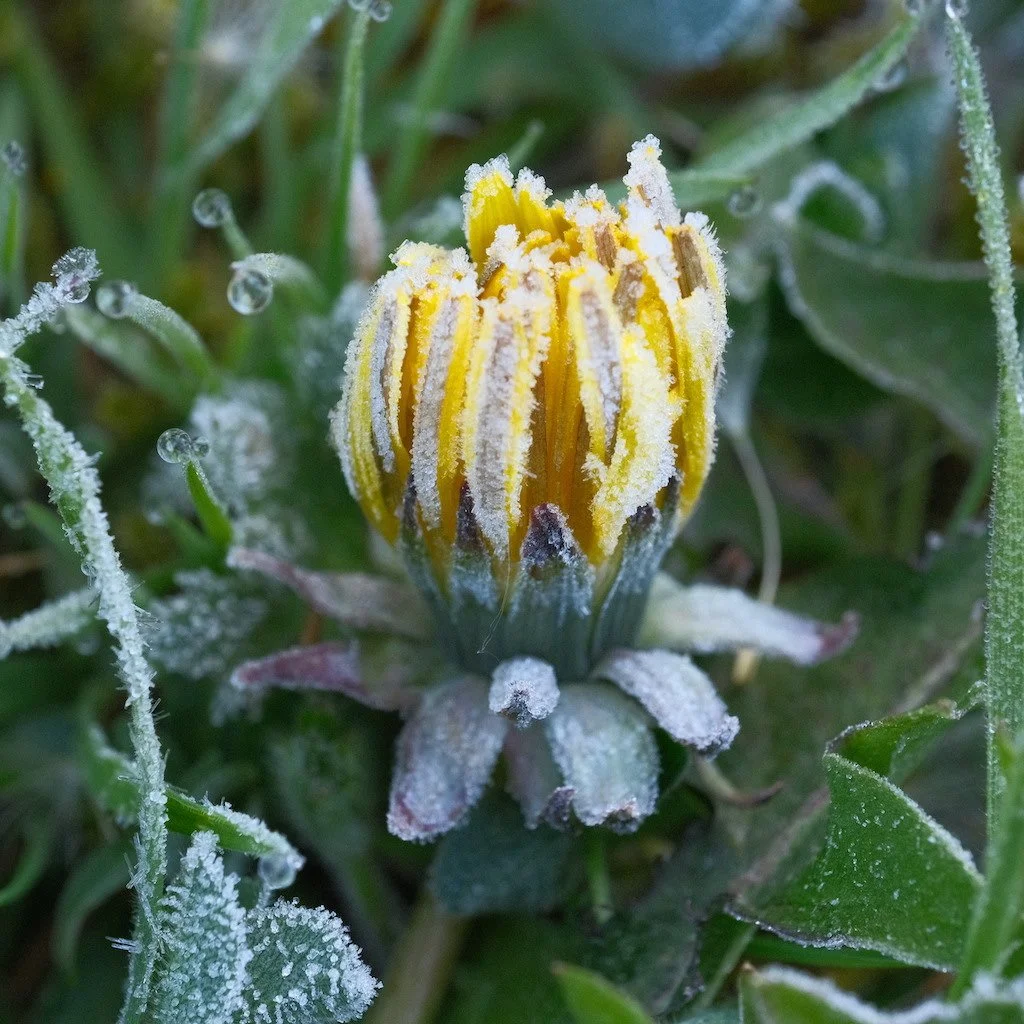 DSCF3130.JPG