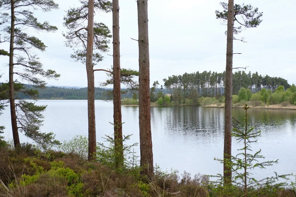DSCF3361.JPG