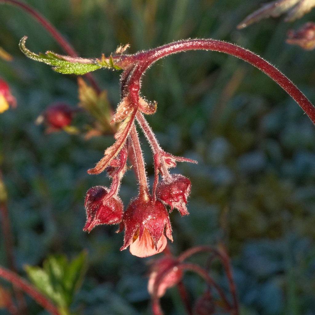 DSCF3128.JPG