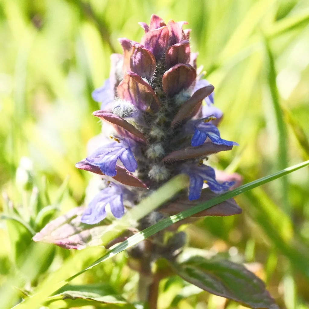DSCF3182.JPG