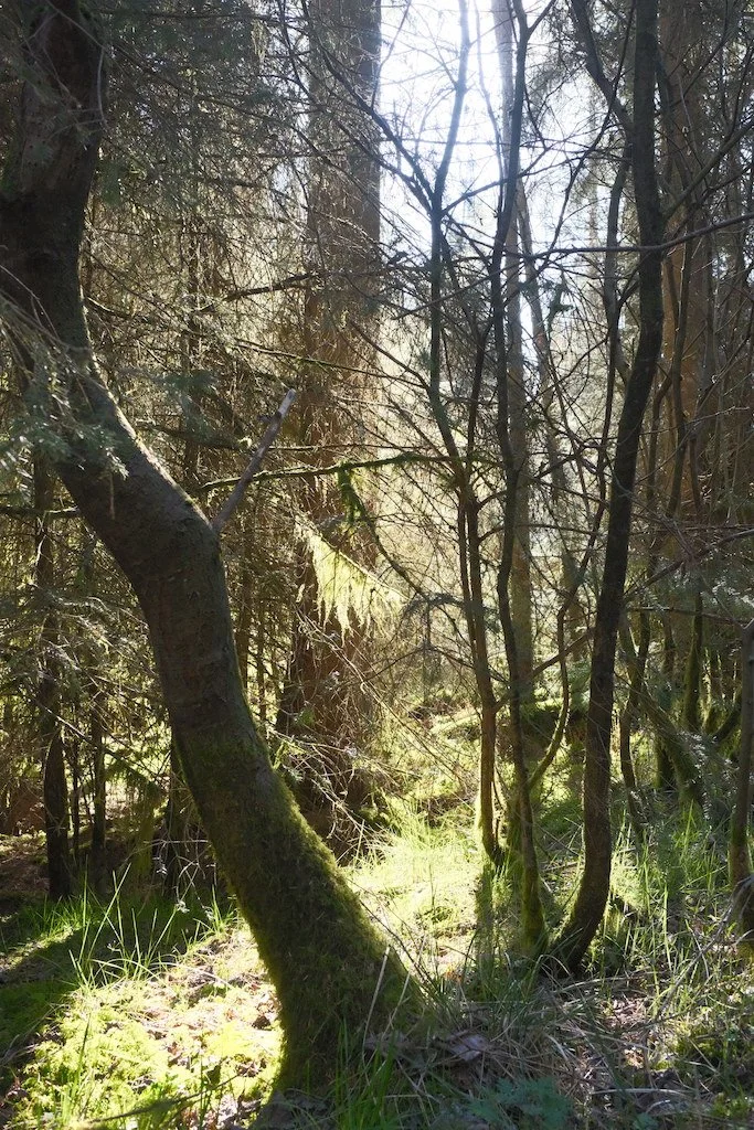DSCF3172.JPG