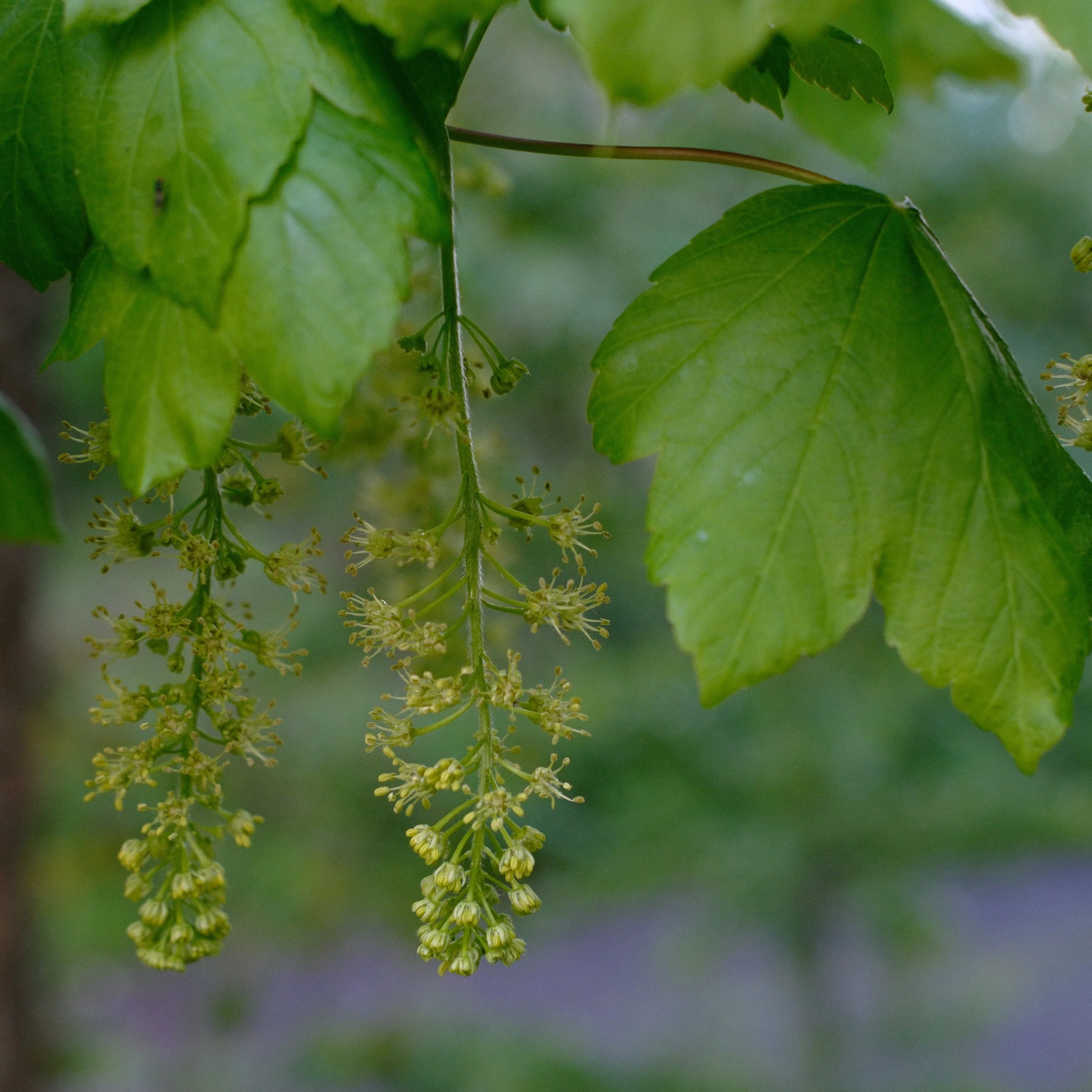 DSCF3344.JPG