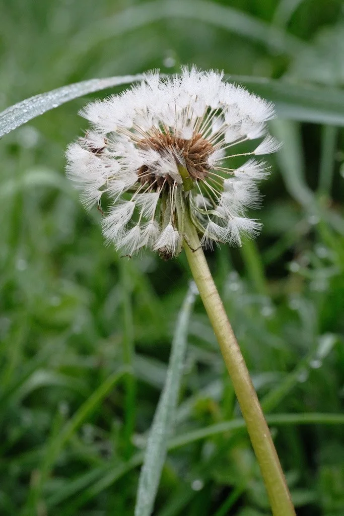 DSCF3270.JPG