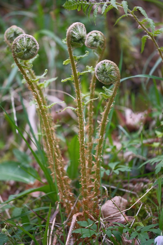 DSCF3305.JPG