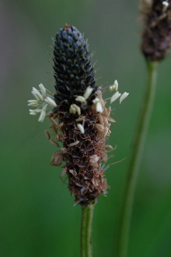 DSCF3380.JPG
