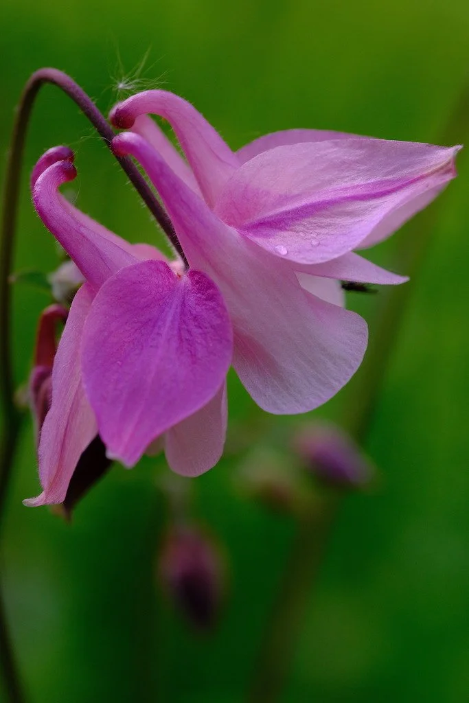 DSCF3499.JPG