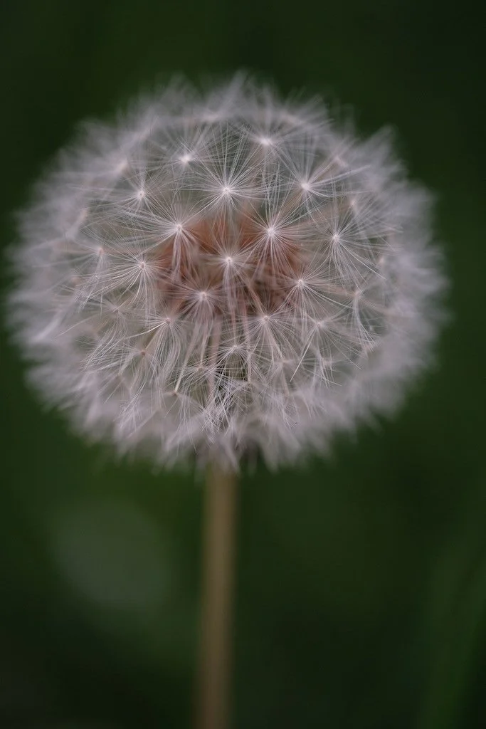 DSCF3479.JPG