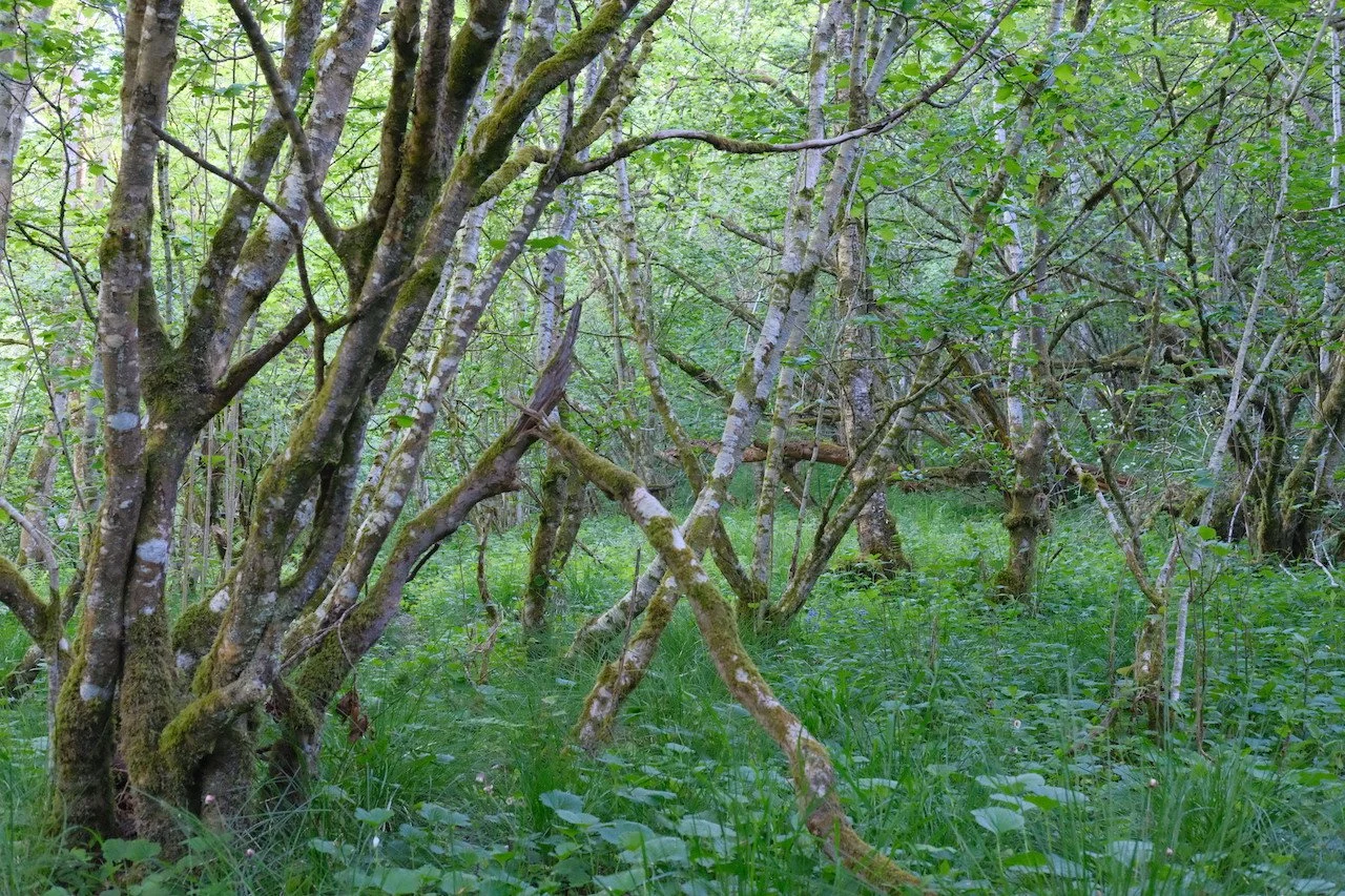 DSCF3559.JPG