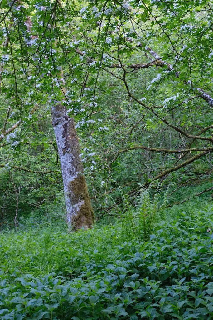 DSCF3555.JPG