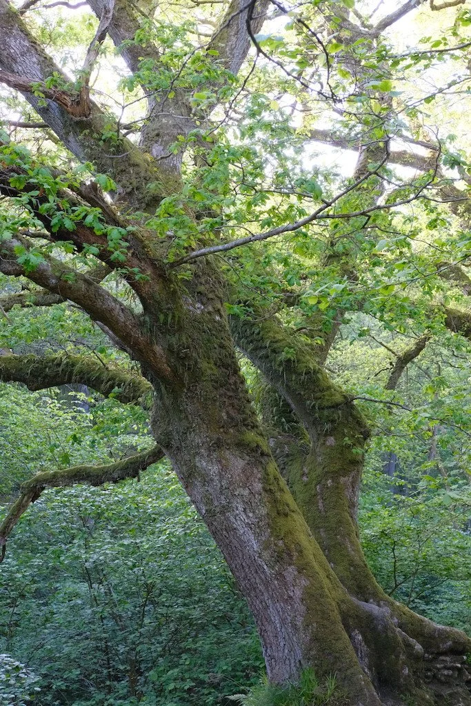 DSCF3568.JPG