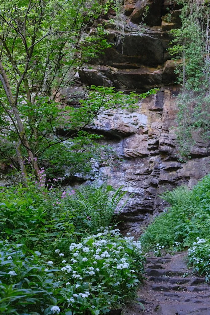 DSCF3575.JPG