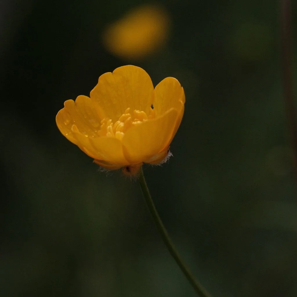 DSCF3653.JPG
