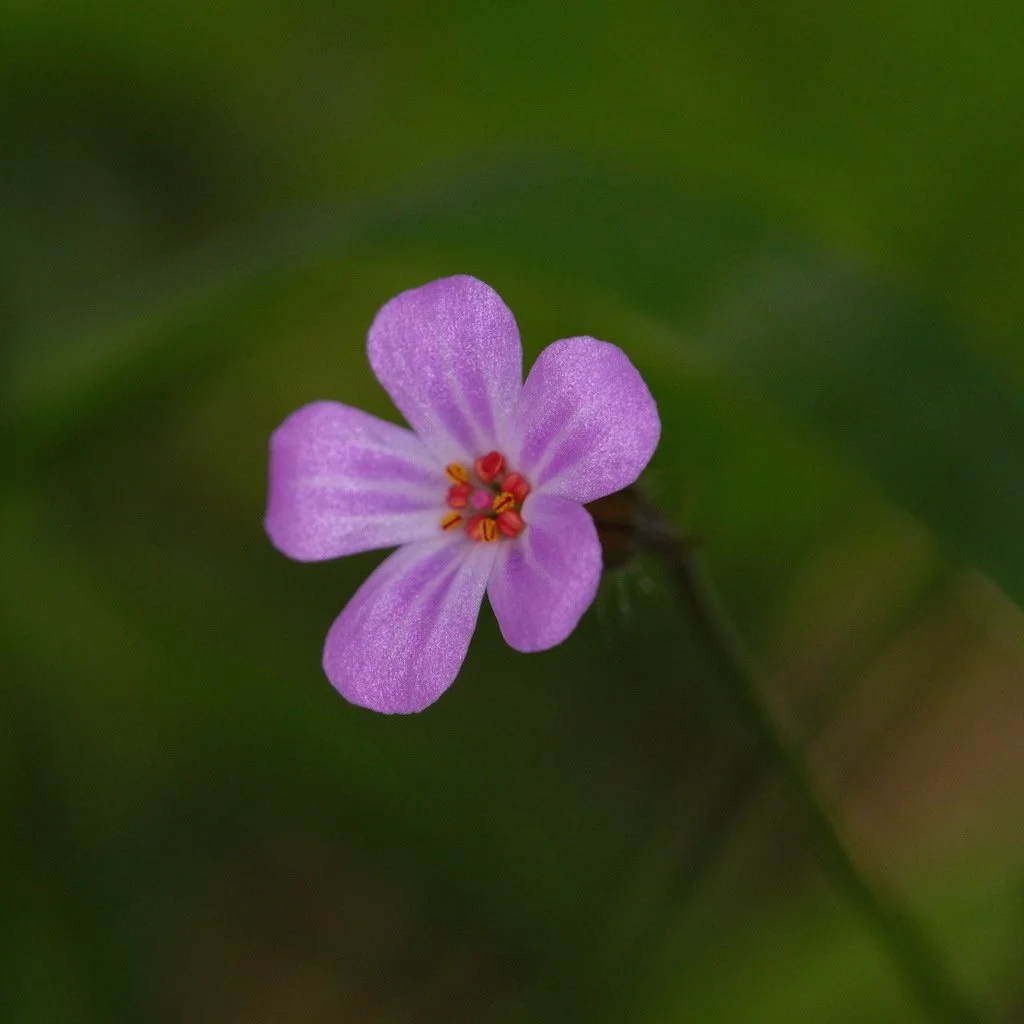 DSCF3749.JPG
