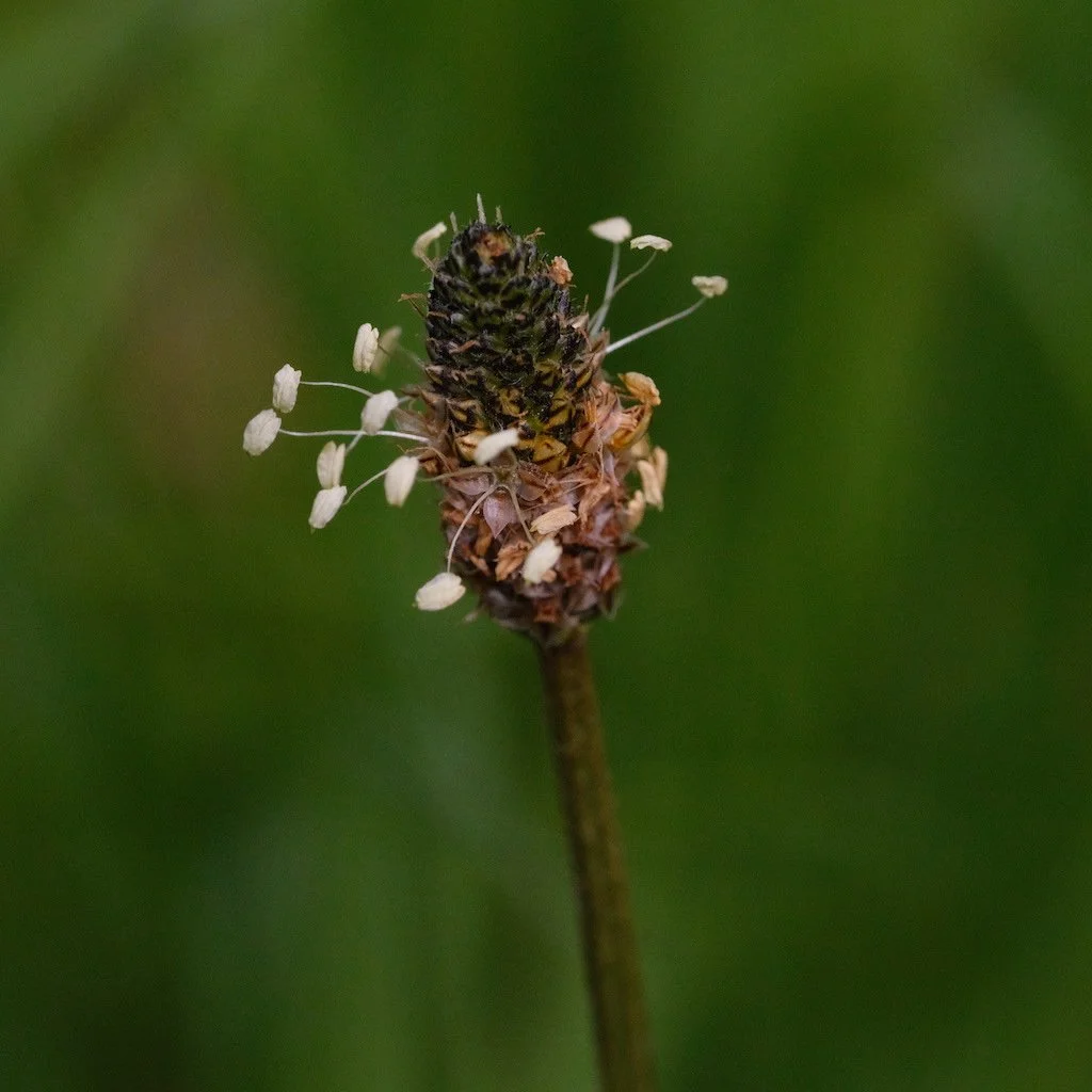 DSCF3776.JPG
