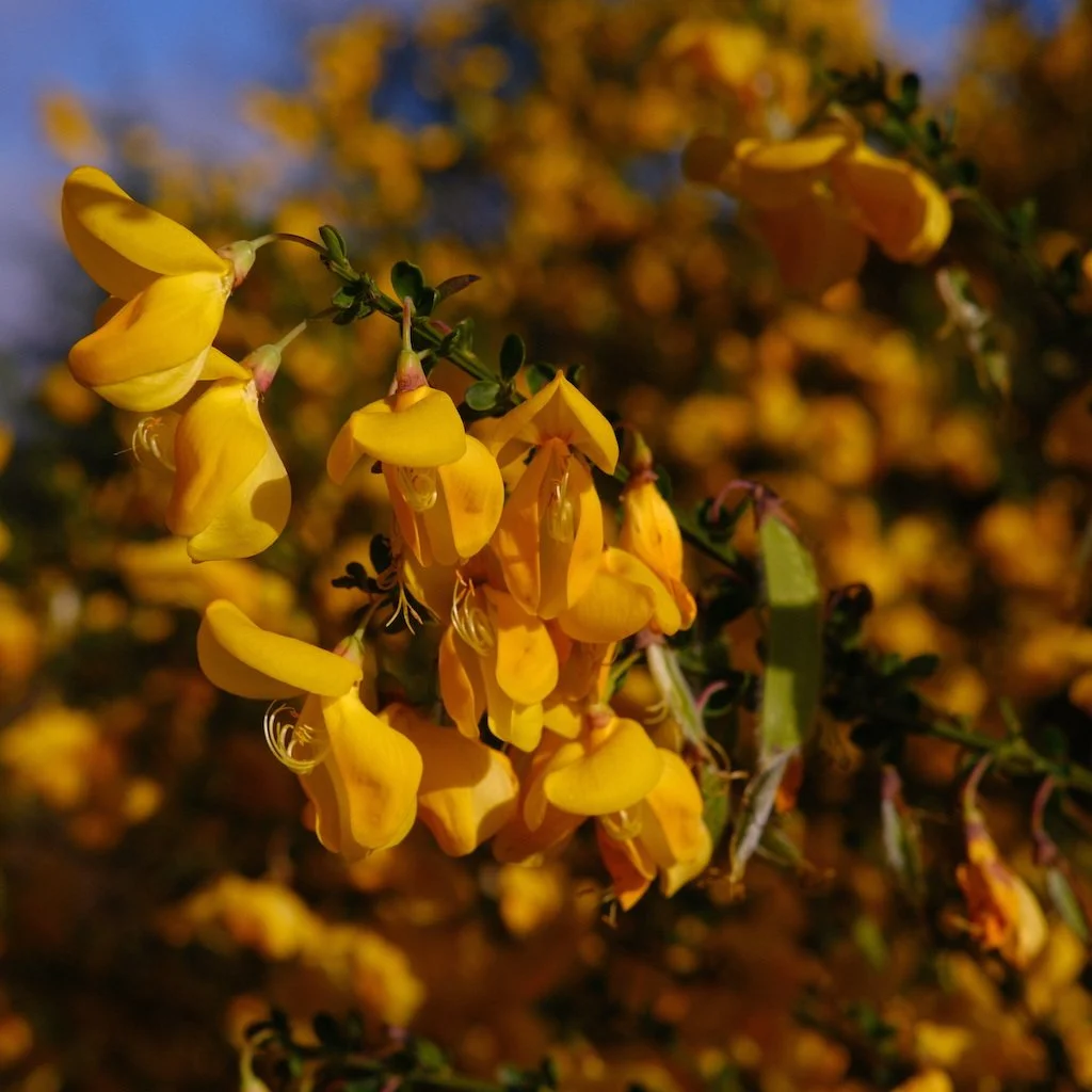 DSCF3705.JPG