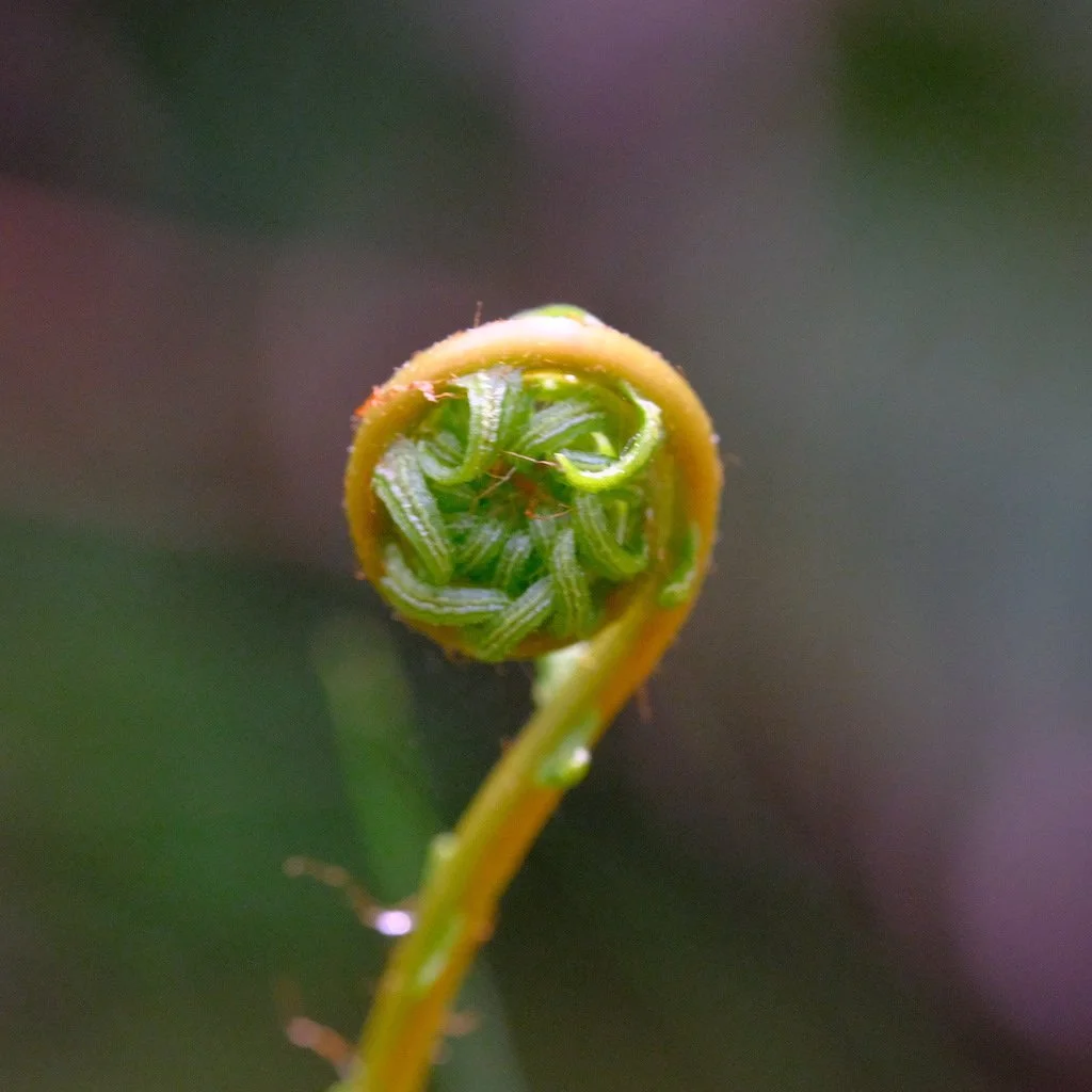DSCF3490.JPG