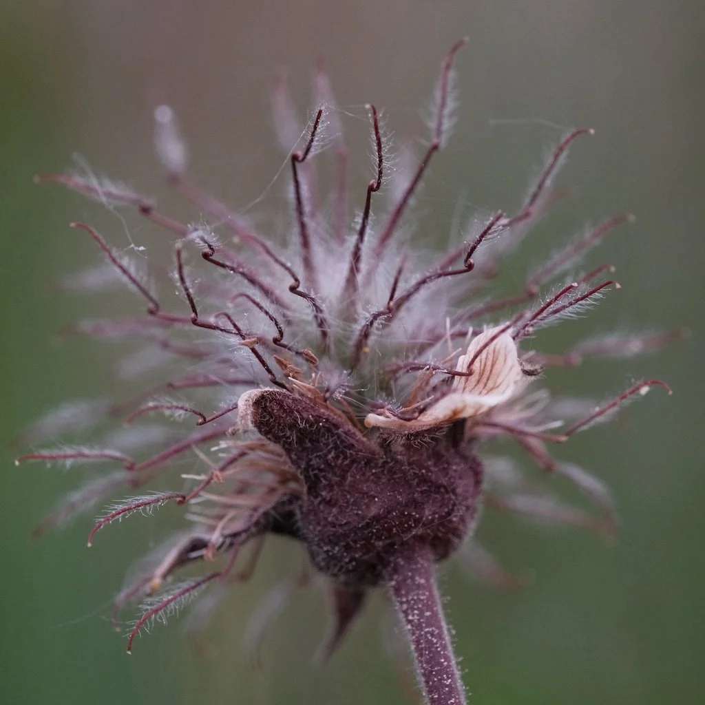 DSCF3468.JPG