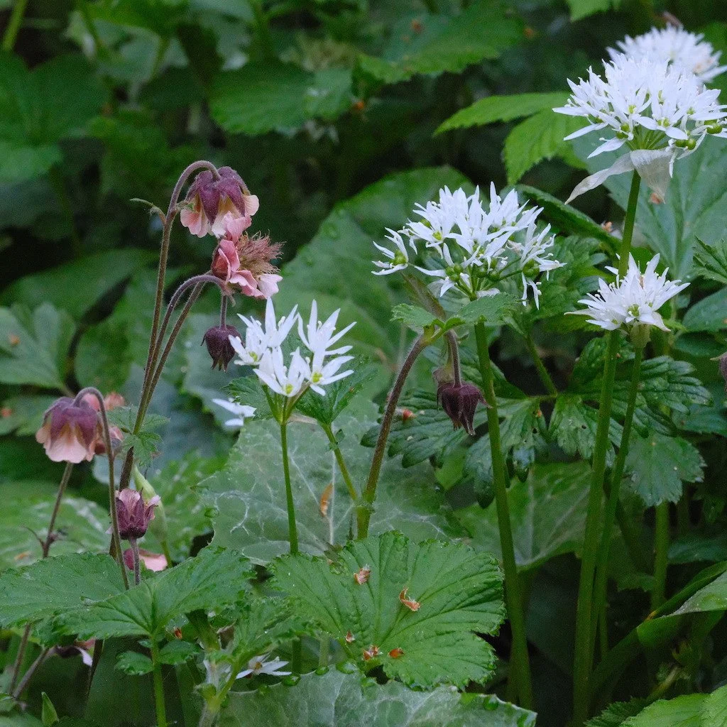 DSCF3588.JPG