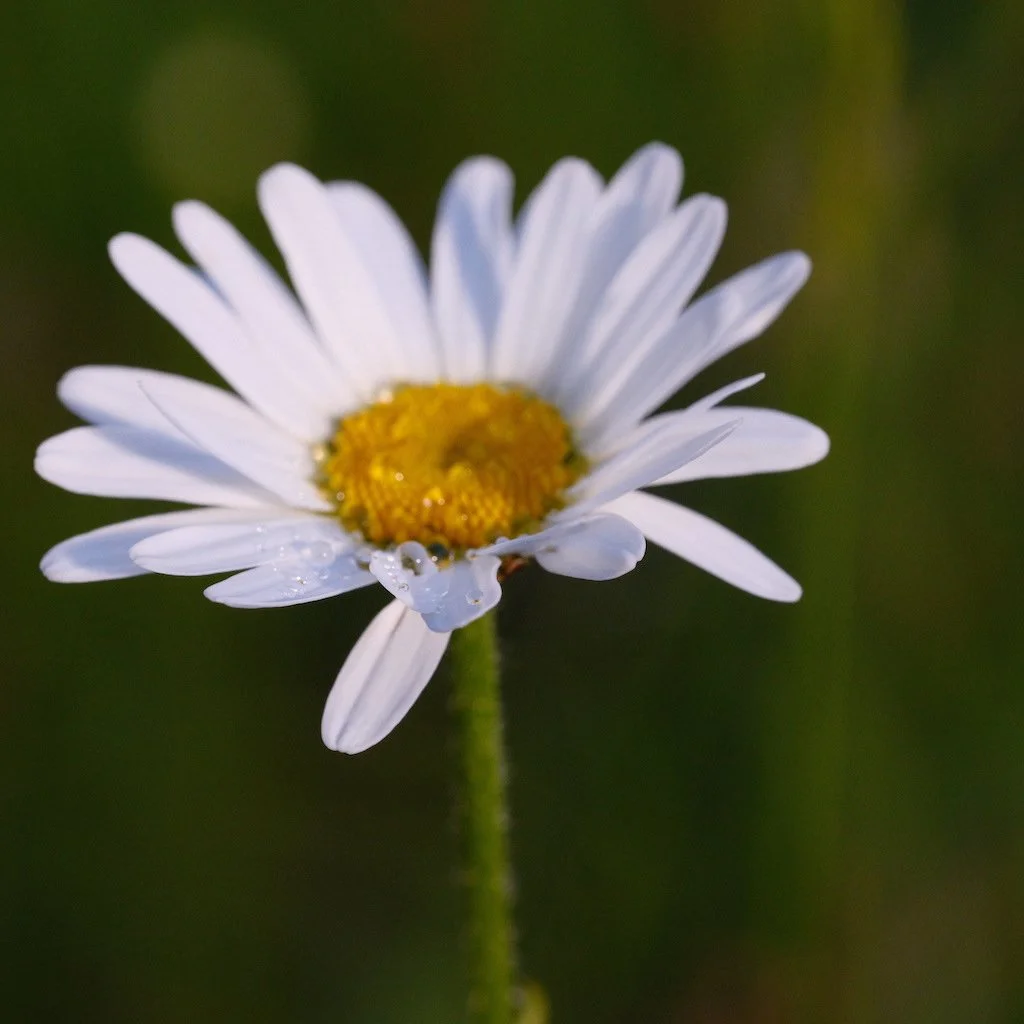 DSCF3696.JPG