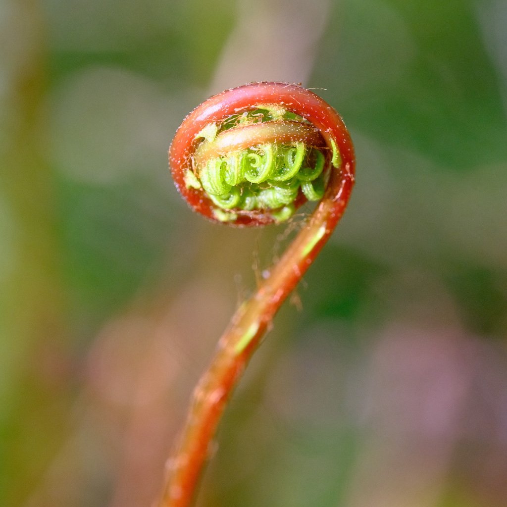 DSCF3491.JPG
