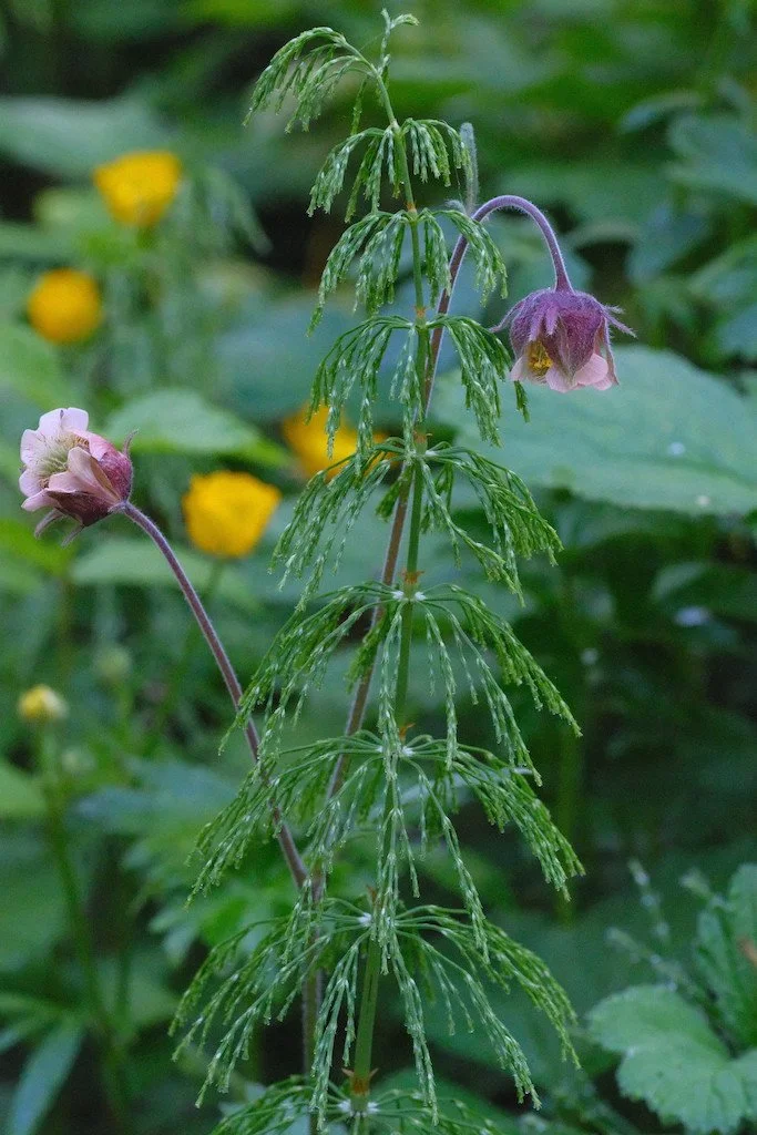 DSCF3591.JPG